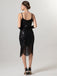 1920er Spaghetti Träger Pailletten Quaste Flapper Kleid