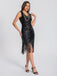 1920er V-Ausschnitt Quaste Pailletten Kleid