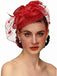 Vintage Netz Feder Bogen Haar Accessoires