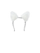 SCY000573 9