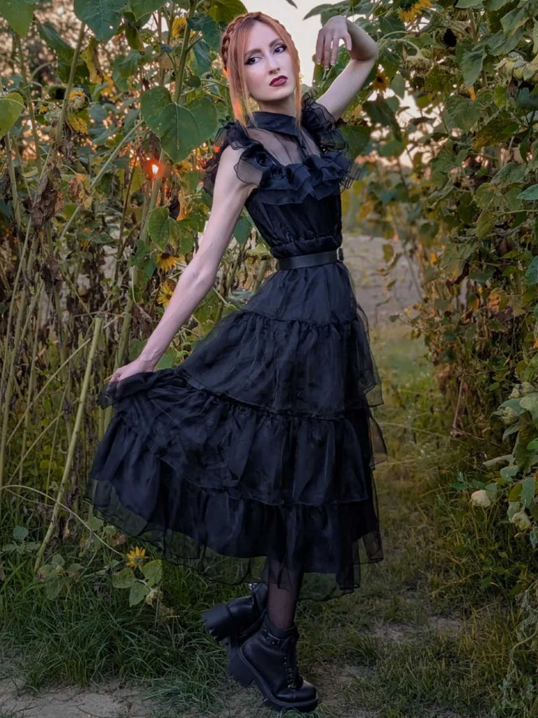 SCH004335_B
