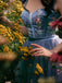 SCH005175_CLB