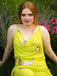 SCH007285_GY