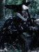 SCH005178_B