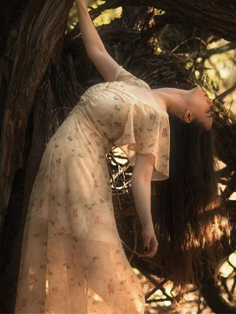 SCH006665_Y
